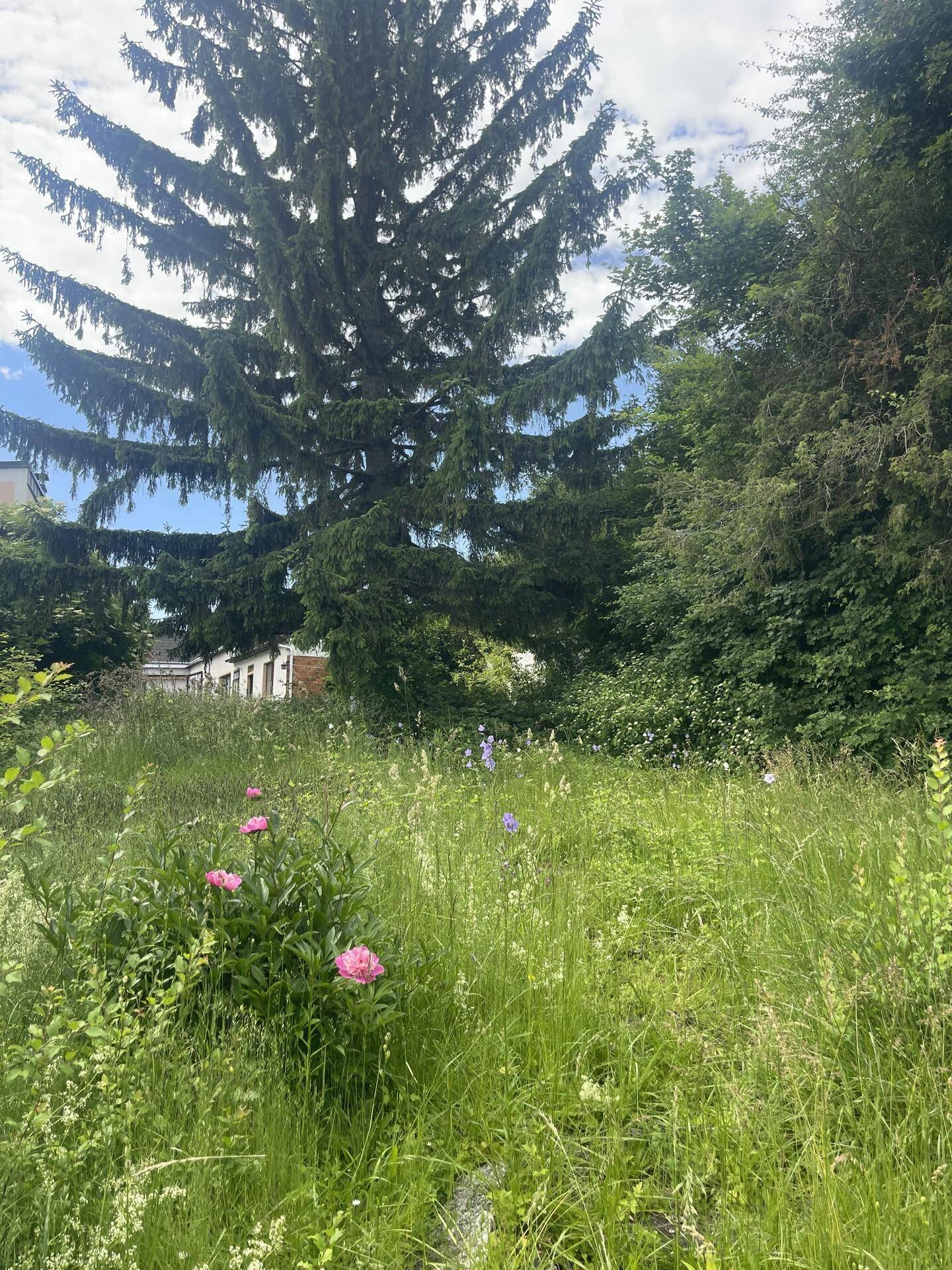 IMG_9664
