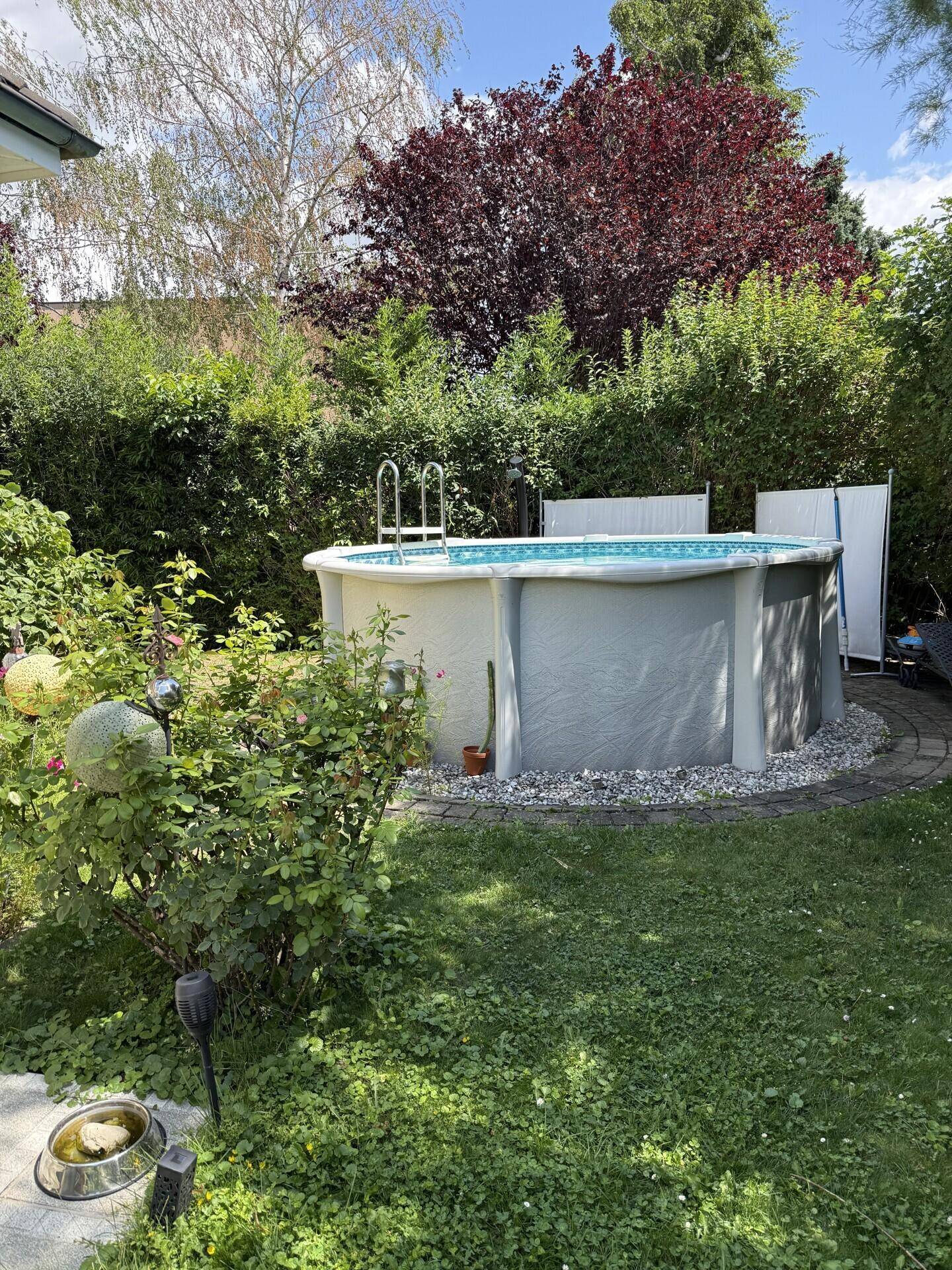 Runder Aufstellpool umgeben von Grünflächen und Büschen im sonnigen Garten.