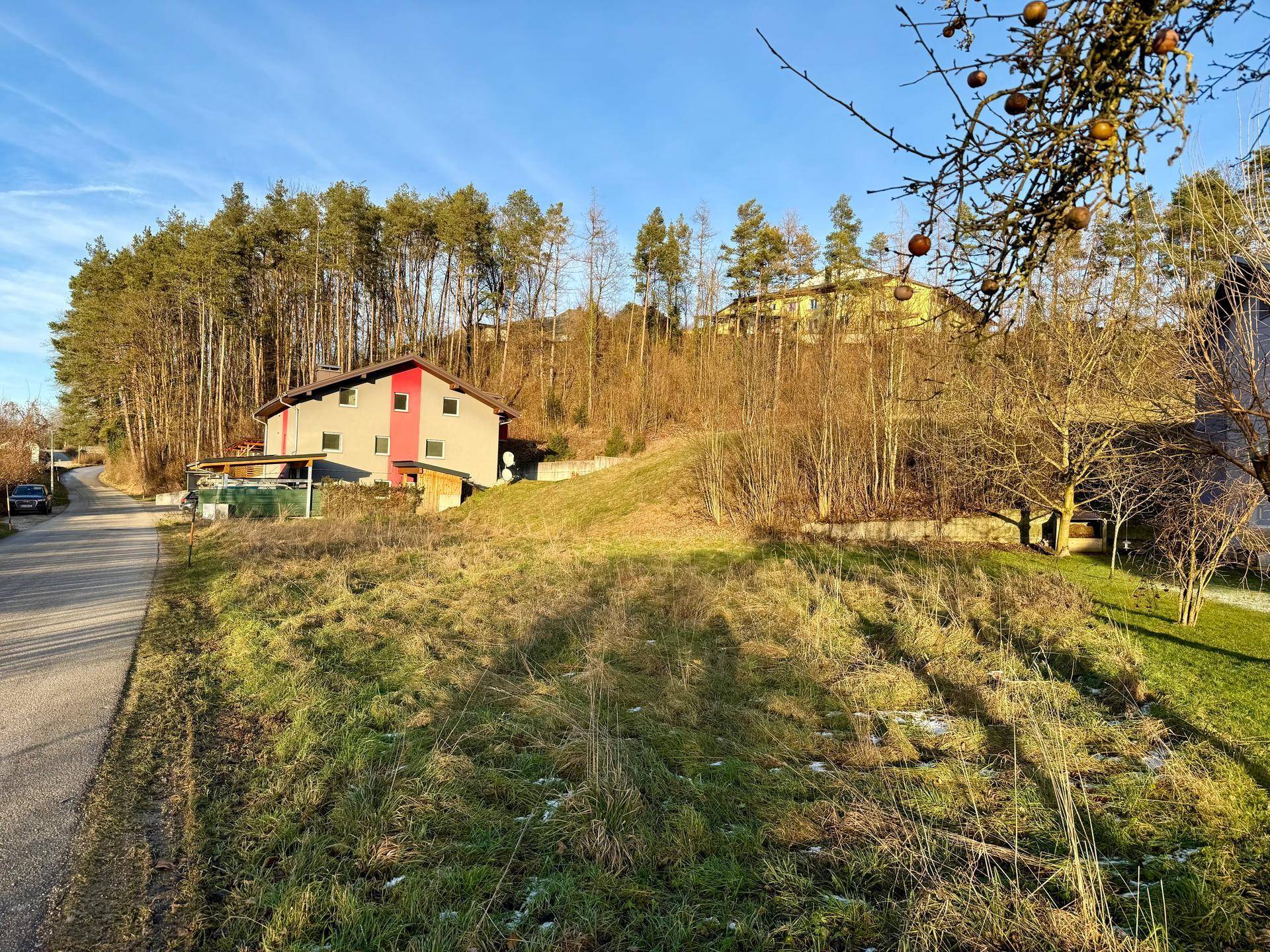 Haus auf einem Hanggrundstück umgeben von Bäumen und Wiesen unter strahlendem Sonnenschein.