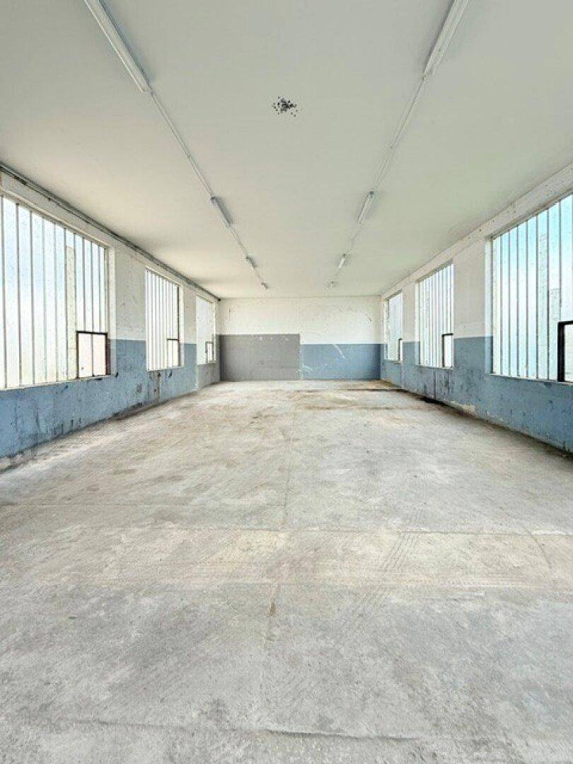 Geräumiger, heller Industrieraum mit Betonboden und hohen Decken, geeignet für verschiedene Nutzungen.