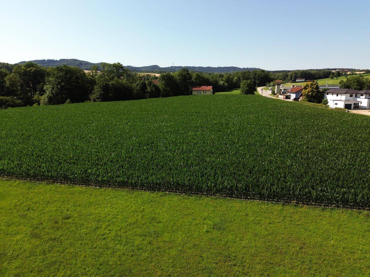 Weitläufige ländliche Umgebung mit grünen Feldern und Wäldern unter blauem Himmel.
