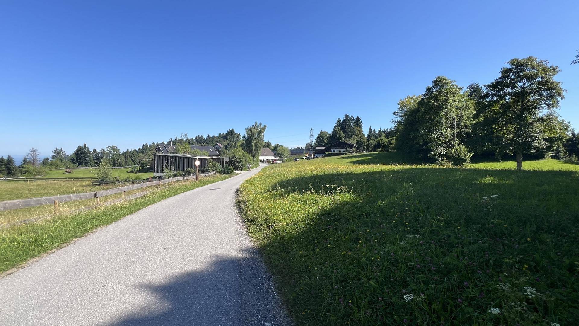 Zufahrtstrasse