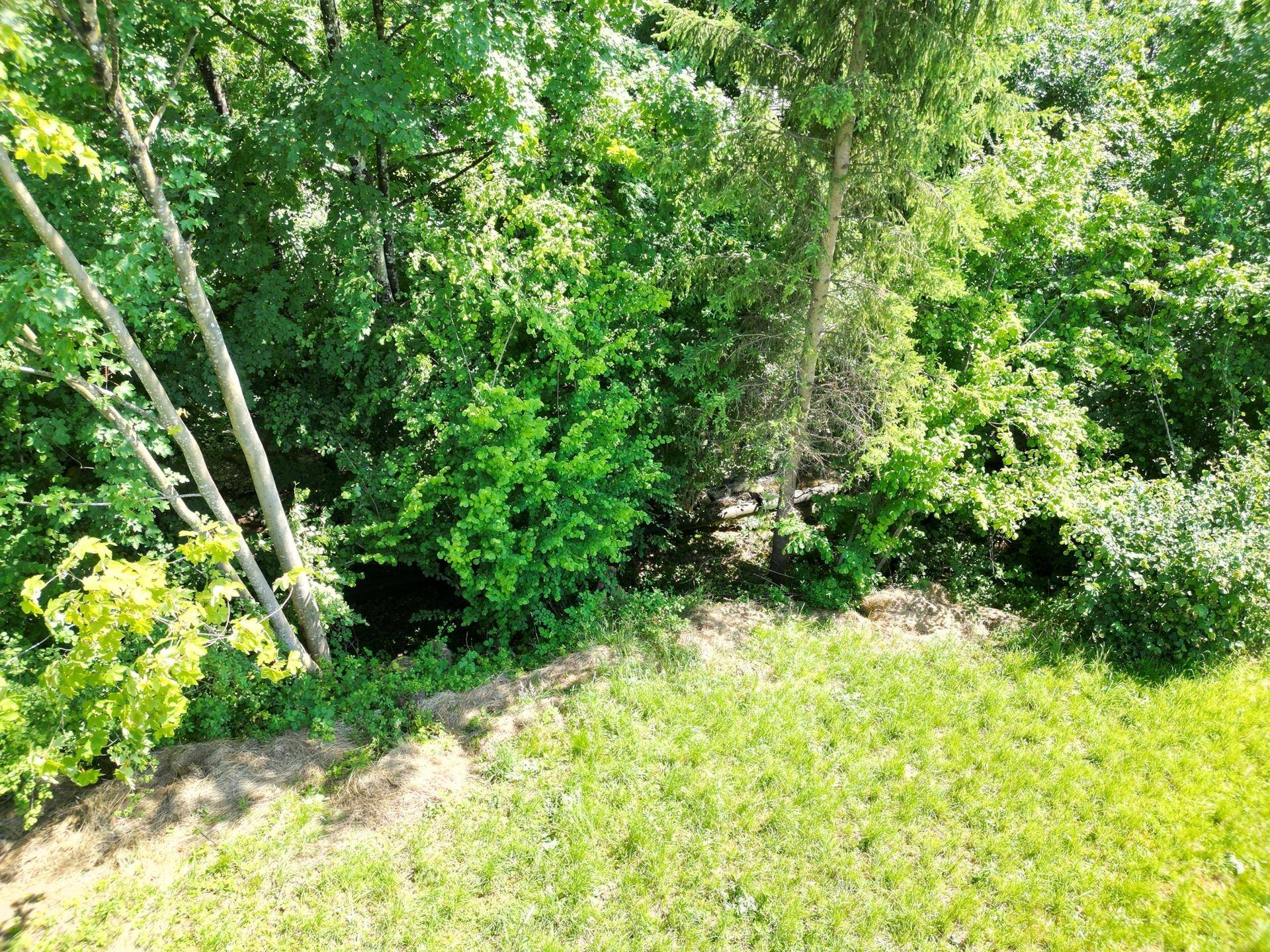Bachlauf