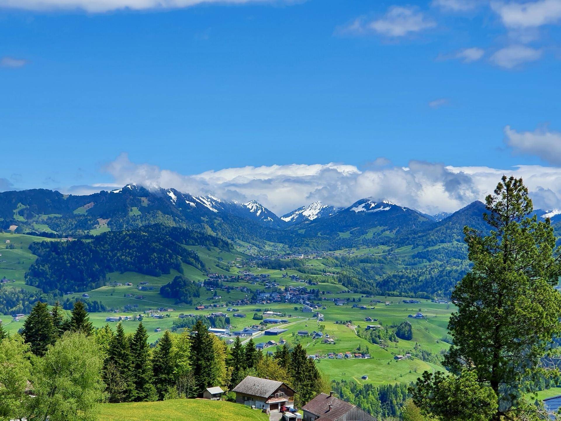Malerische Berglandschaft im Frühling mit grünen Wiesen, Wäldern und schneebedeckten Gipfeln.