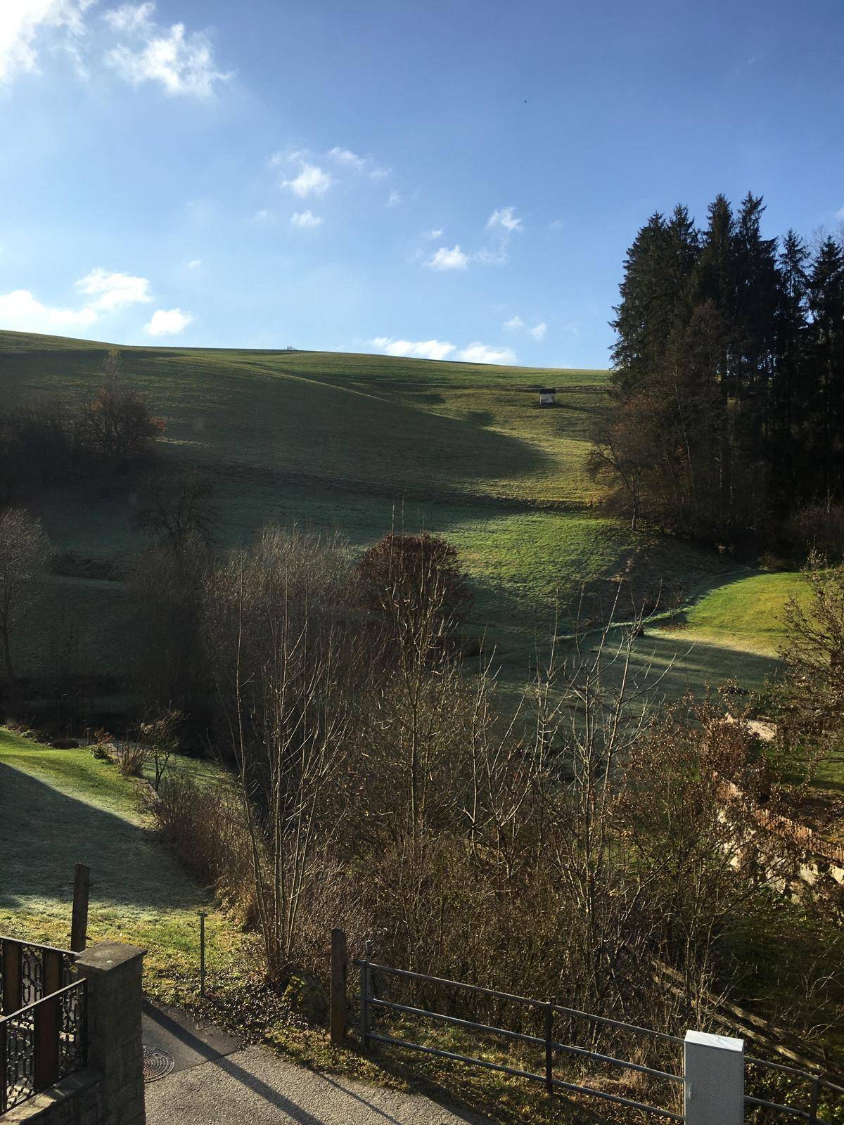 Weitläufige grüne Hügellandschaft mit Bäumen unter einem klaren blauen Himmel an einem sonnigen Tag.