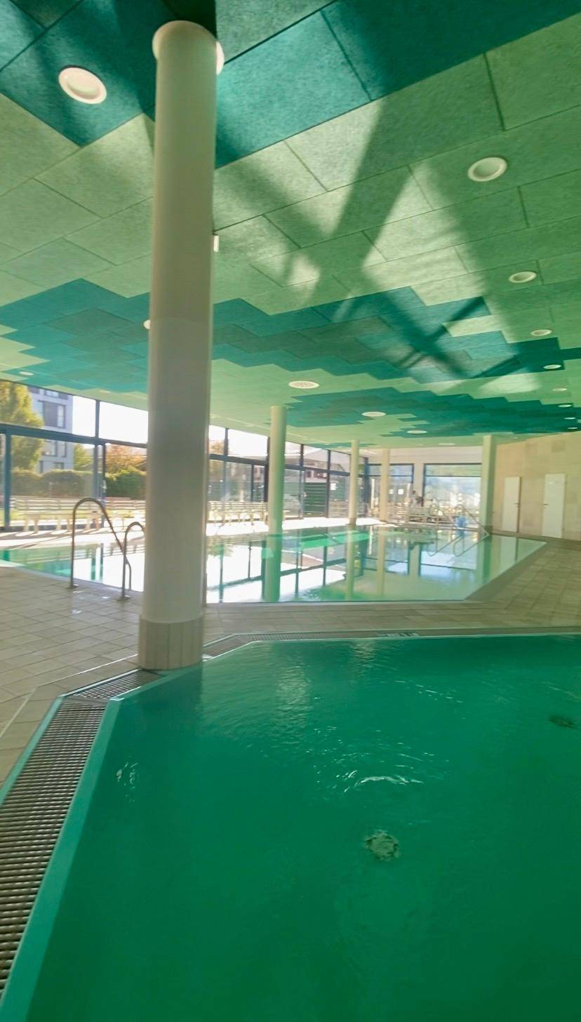 Moderner Innenpoolbereich mit Säulen und großen Glasfronten, die den Blick nach draußen freigeben.