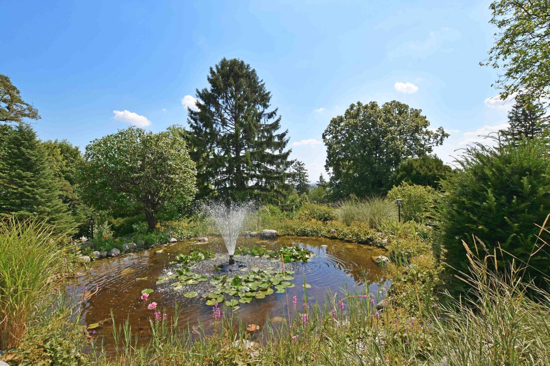 Idyllischer Gartenteich mit sprudelndem Springbrunnen und üppiger Bepflanzung.