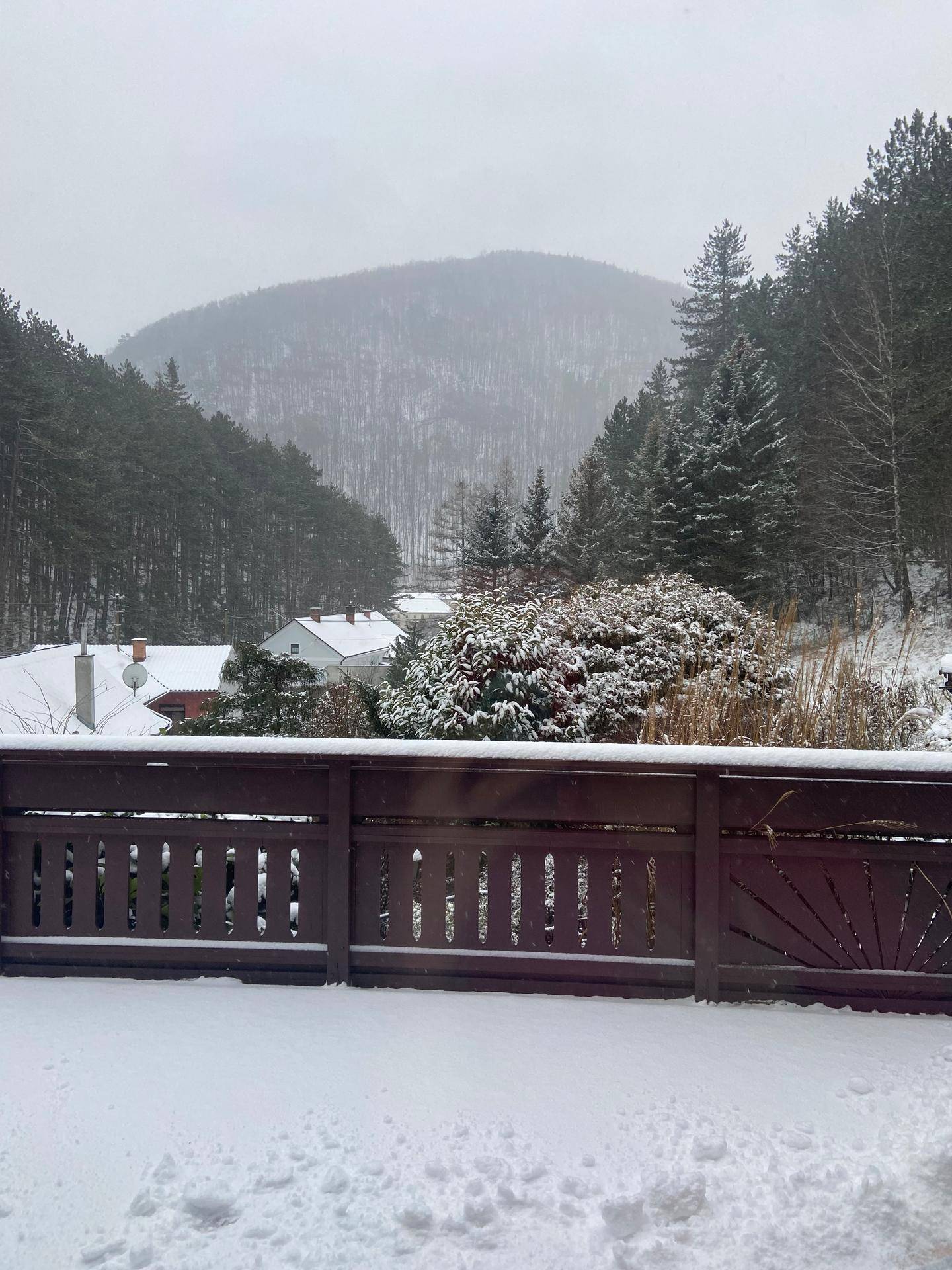 Blick vom Balkon auf eine verschneite Berglandschaft mit dichten Wäldern.