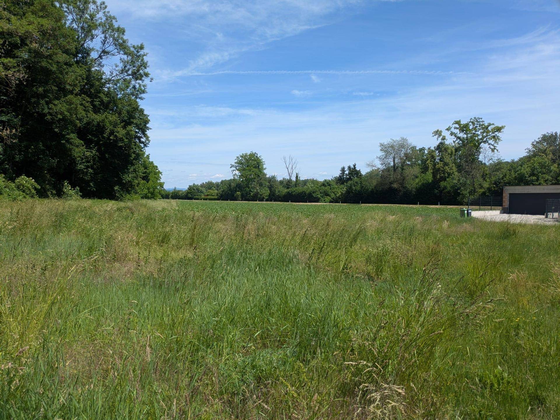 Weitläufiges grünes Feld mit Bäumen am Horizont und einem modernen Gebäude am rechten Rand.