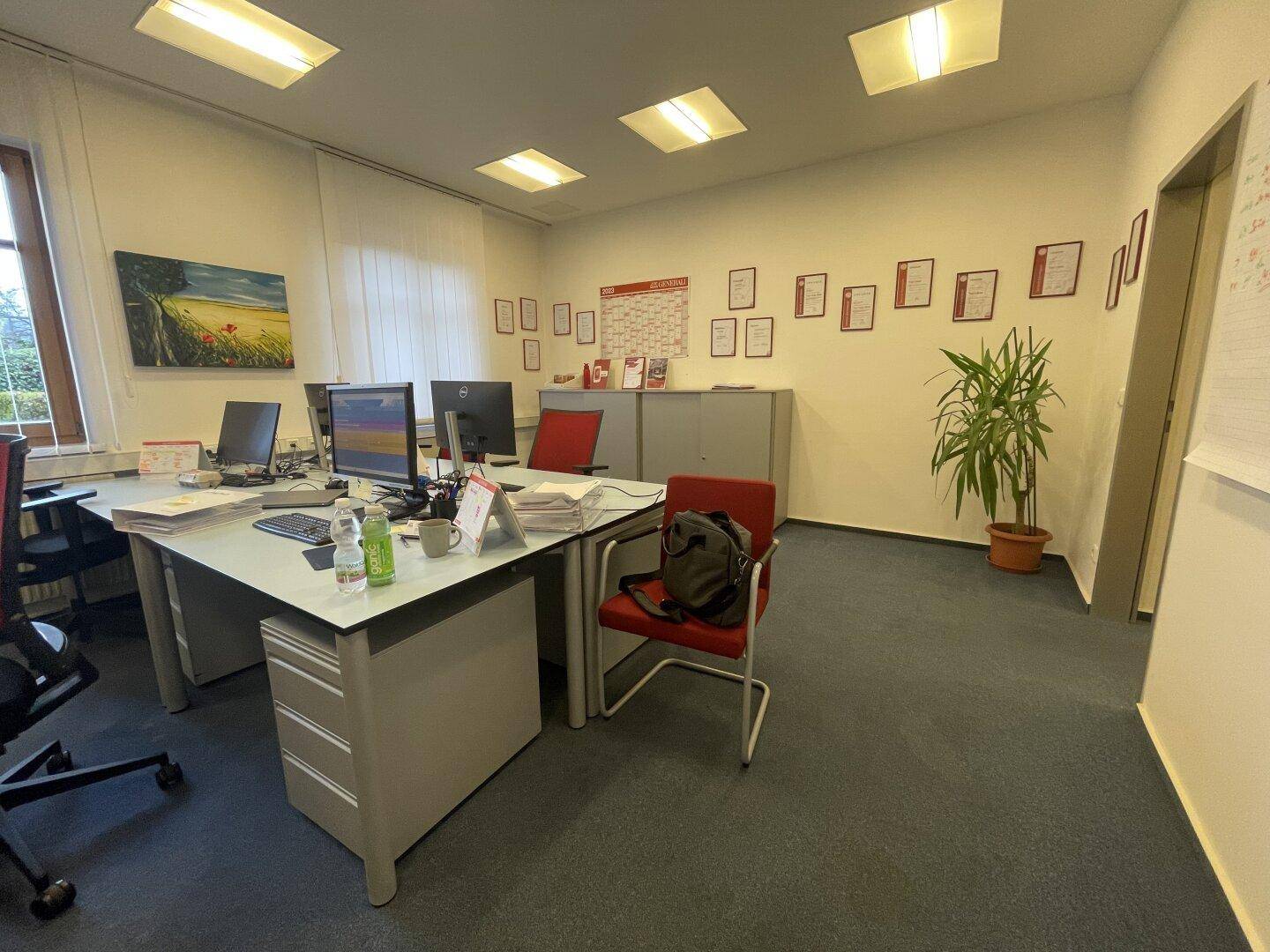 Helles Großraumbüro mit mehreren Arbeitsplätzen, Teppichboden und dekorativen Elementen an der Wand.