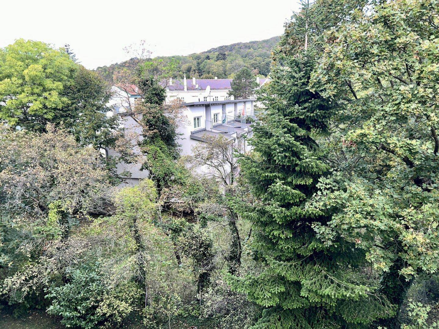 Weitläufiger Blick auf grüne Bäume und dahinterliegende Gebäude unter bewölktem Himmel.