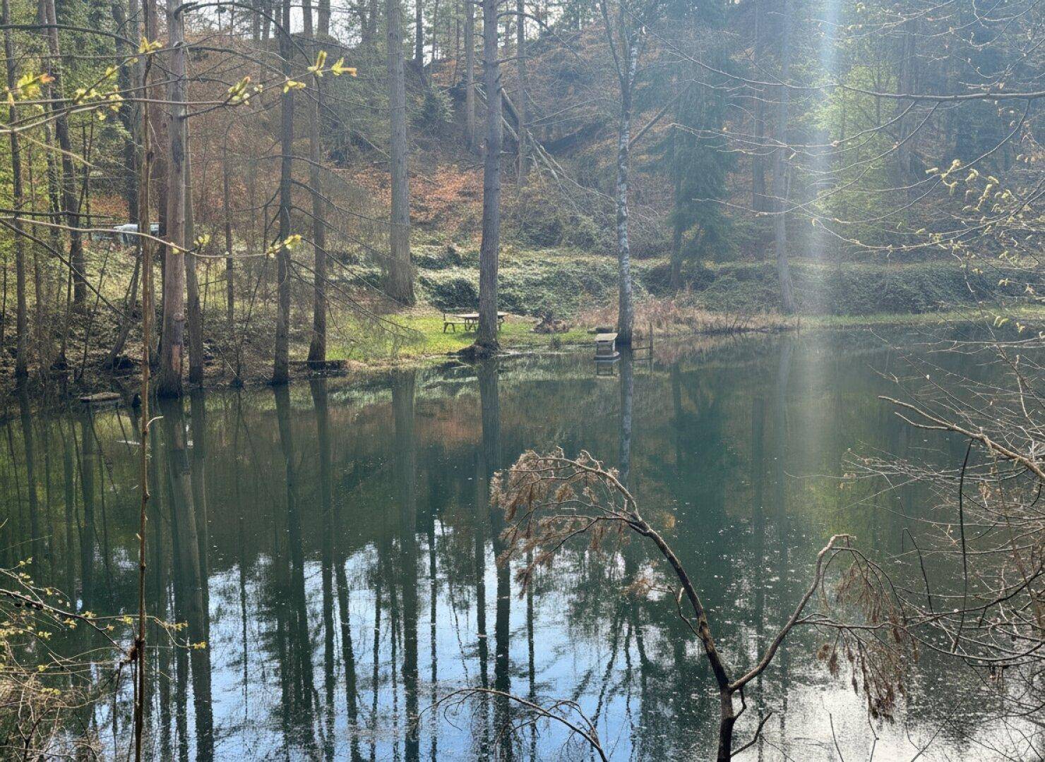 Heute klug investieren. Morgen ein außergewöhnliches Stück Wienerwald besitzen. - Mehr