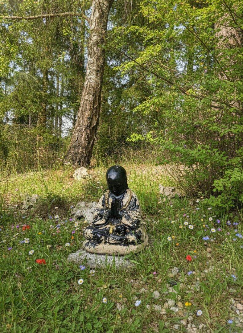 Buddha-Statue in einem naturbelassenen Garten mit Wildblumen und Bäumen.