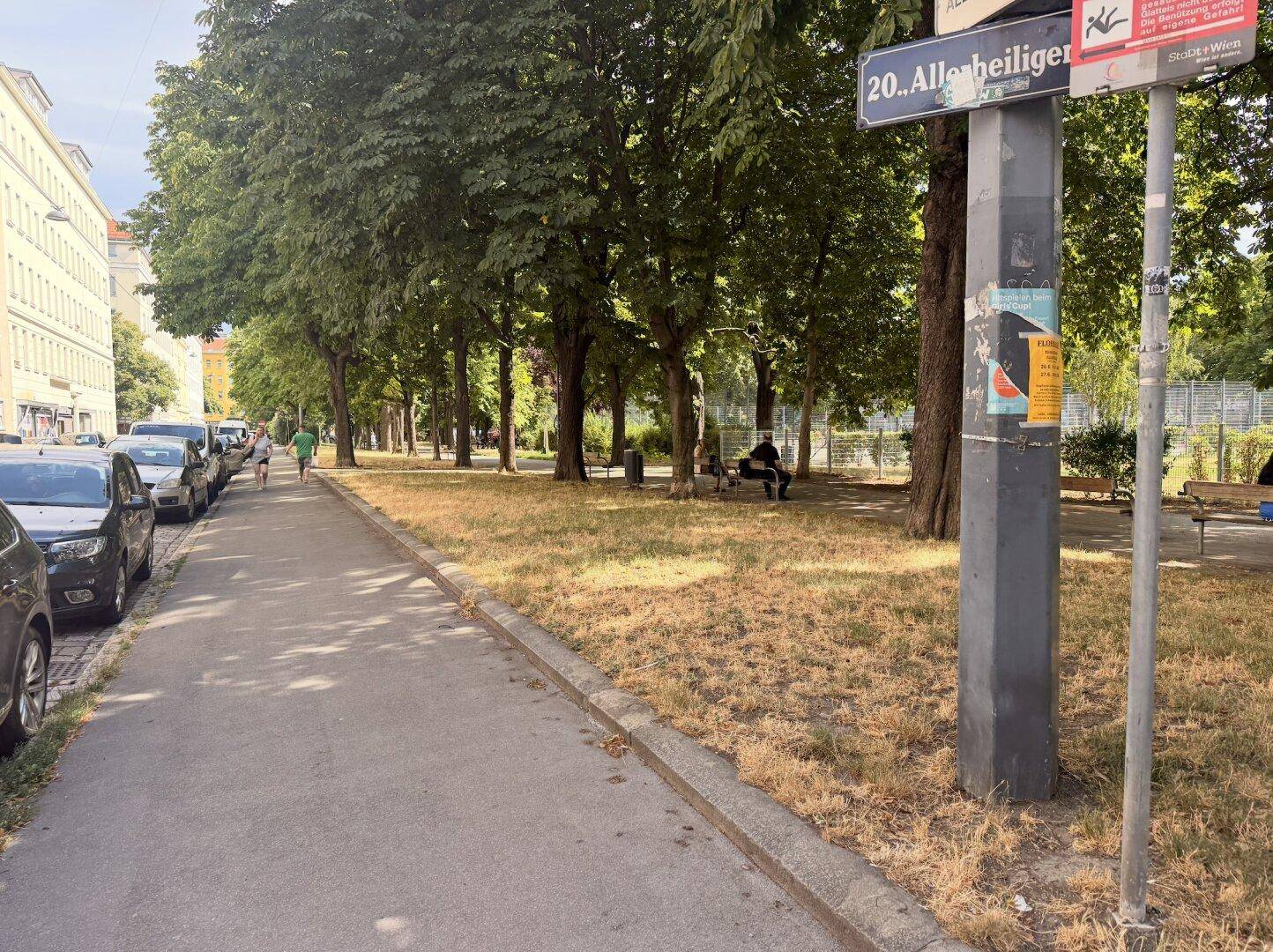 Grüne Parkanlage entlang einer Straße mit parkenden Autos und einem Straßenschild.