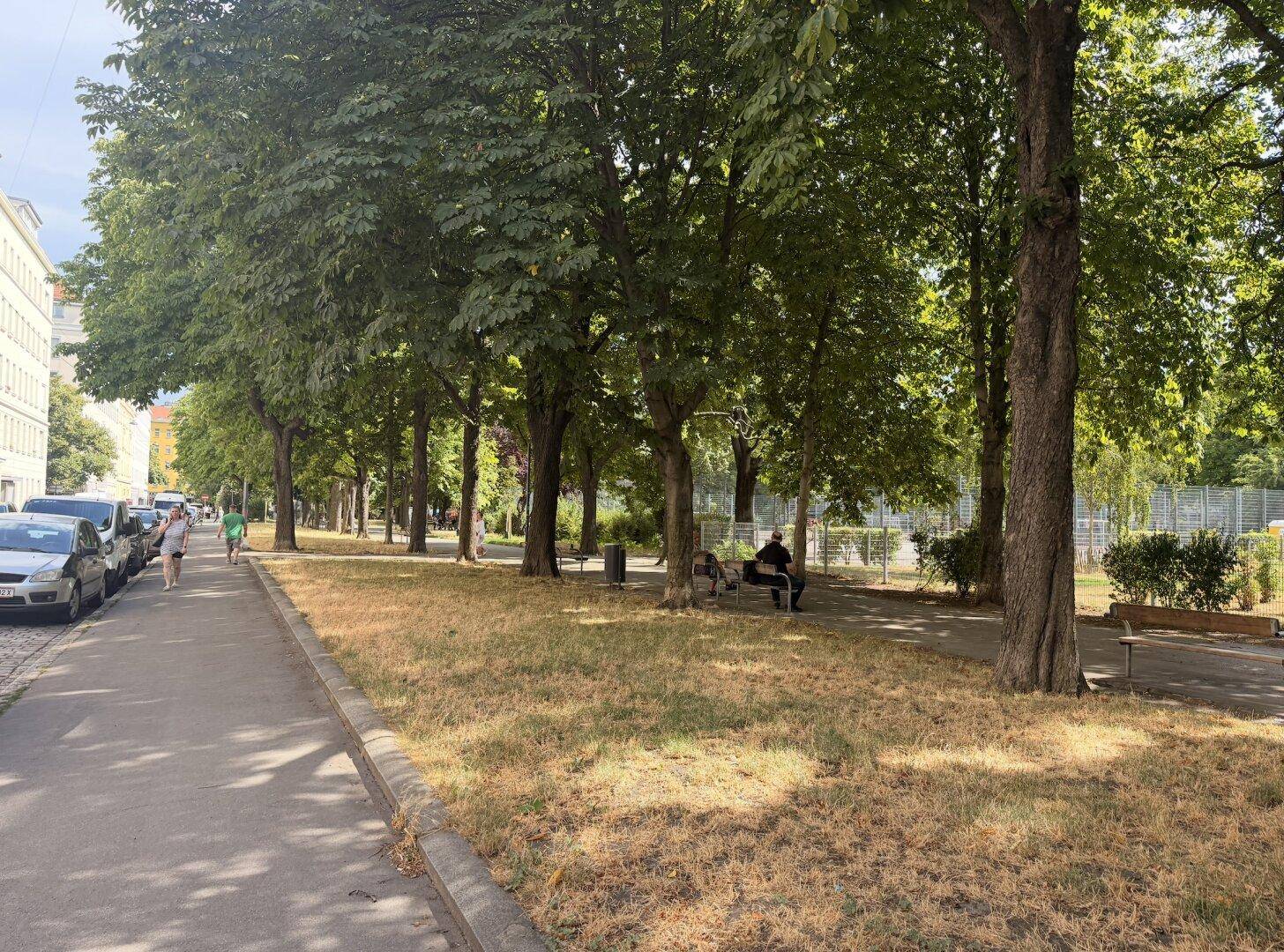 Allee mit Bäumen und Grünflächen neben einer Straße mit geparkten Fahrzeugen.