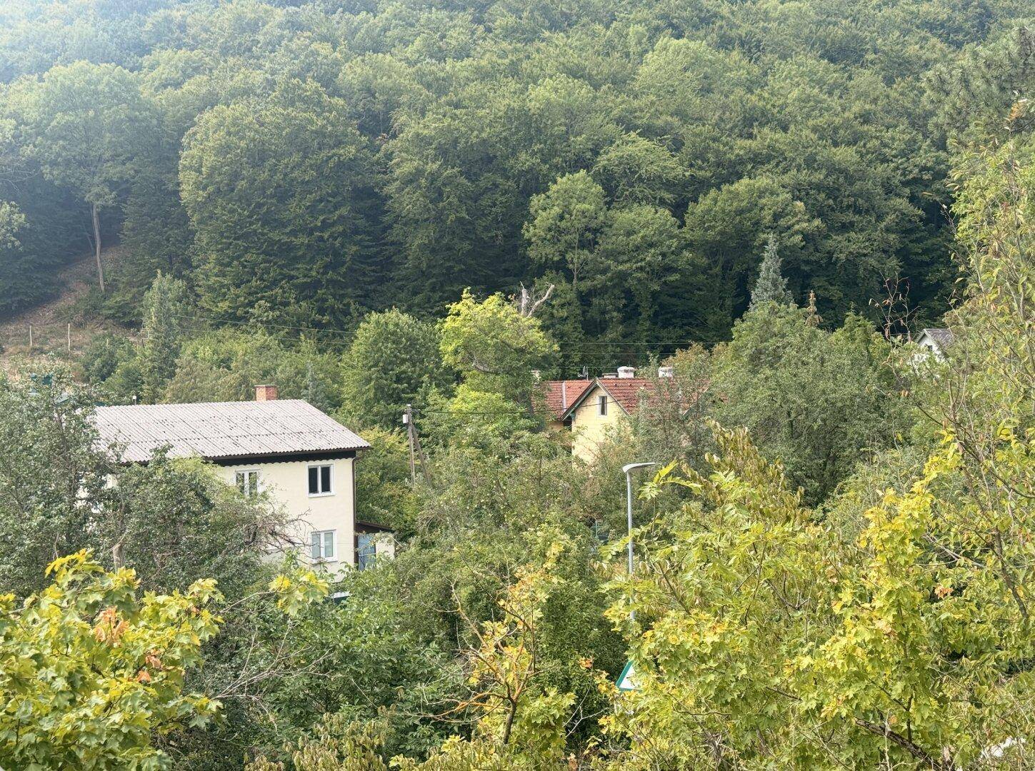 Häuser eingebettet in eine dichte Waldlandschaft mit üppigem Grün und bewaldeten Hügeln.