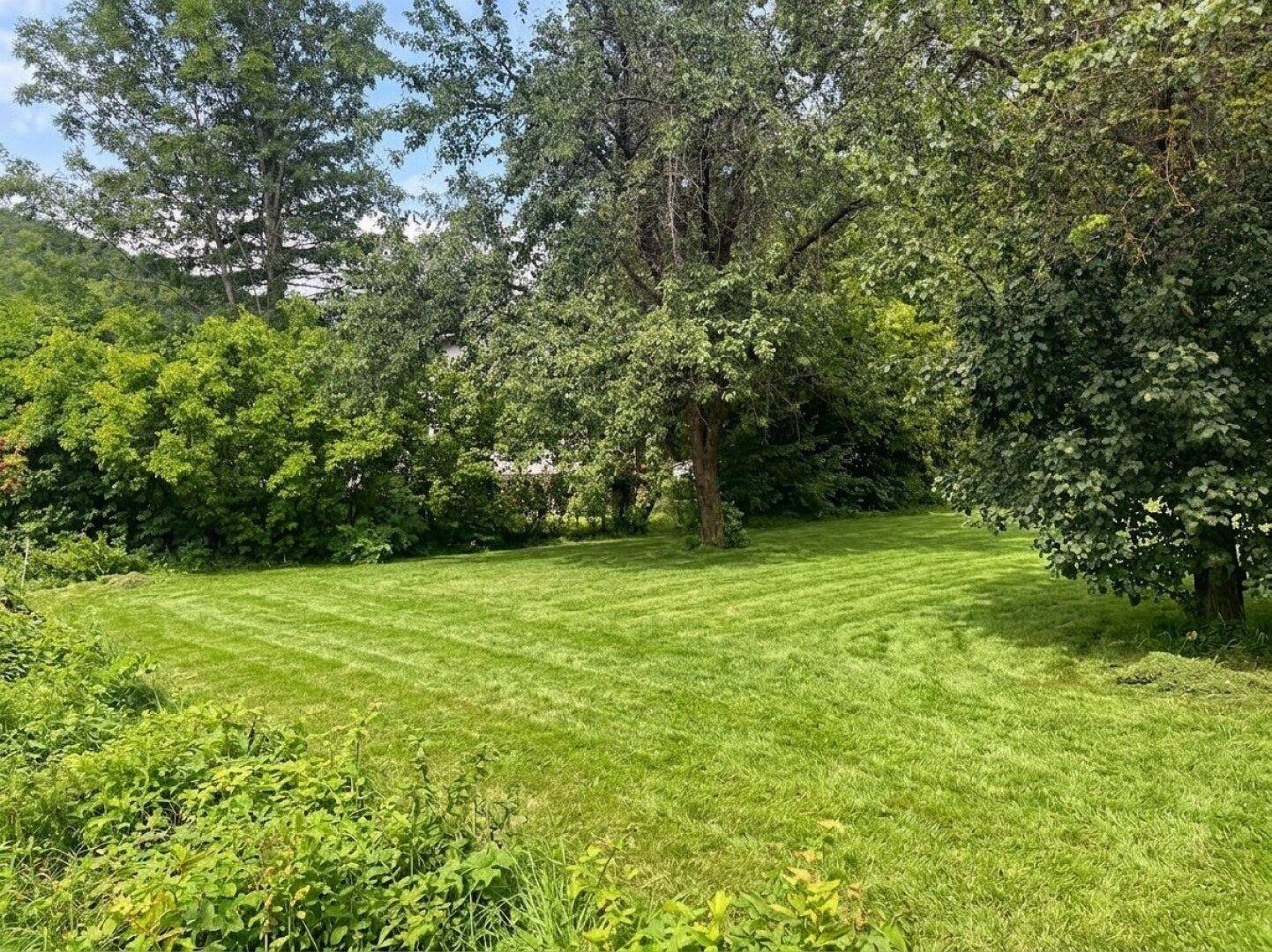 Weitläufige grüne Rasenfläche mit altem Baumbestand und üppiger Vegetation.