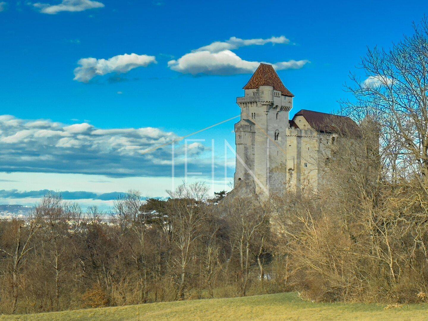 Umgebung - Burg Liechtenstein