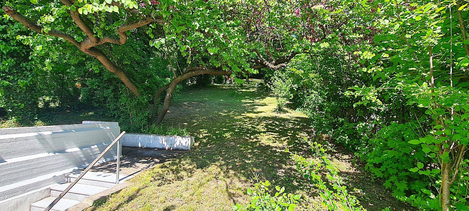 Blick von der Terrasse durch den Garten