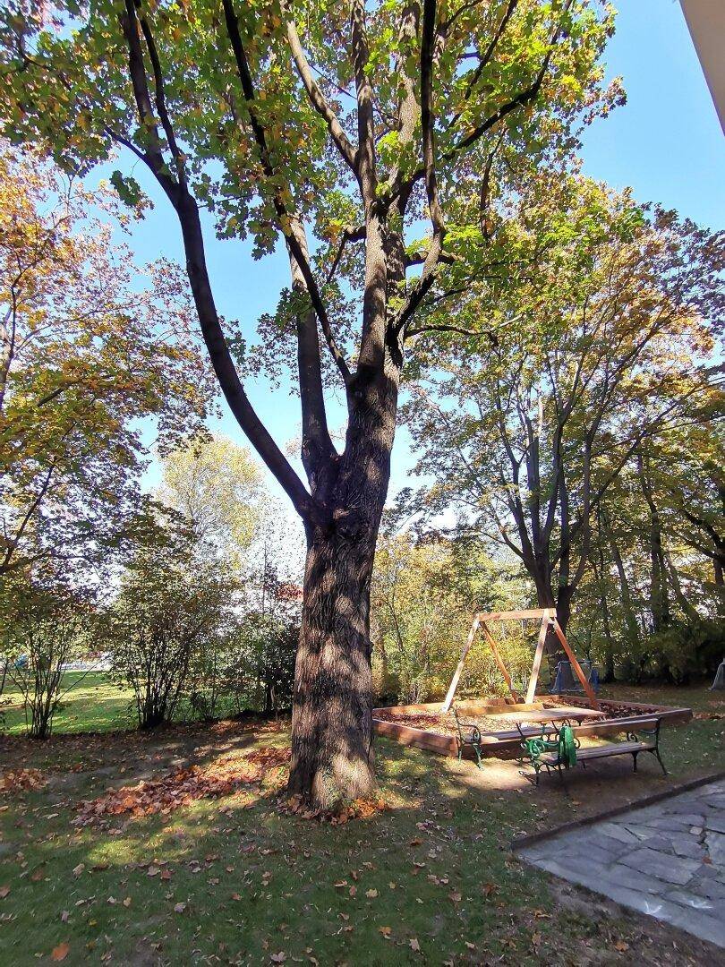 Garten rund um die Wohnung
