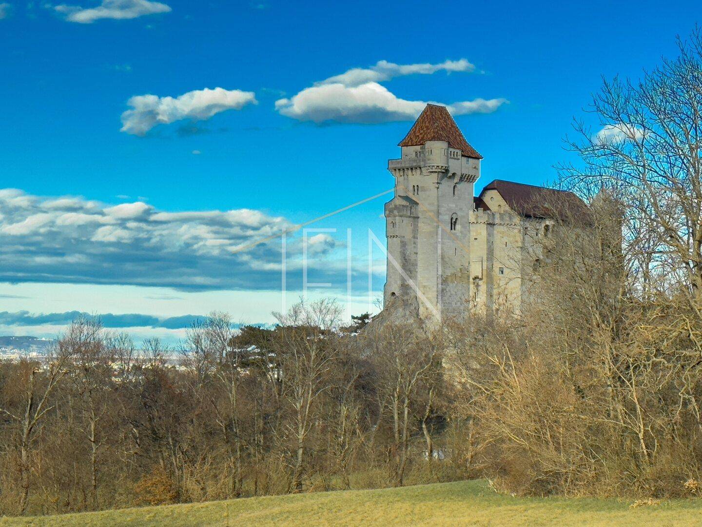 Burg Liechtenstein