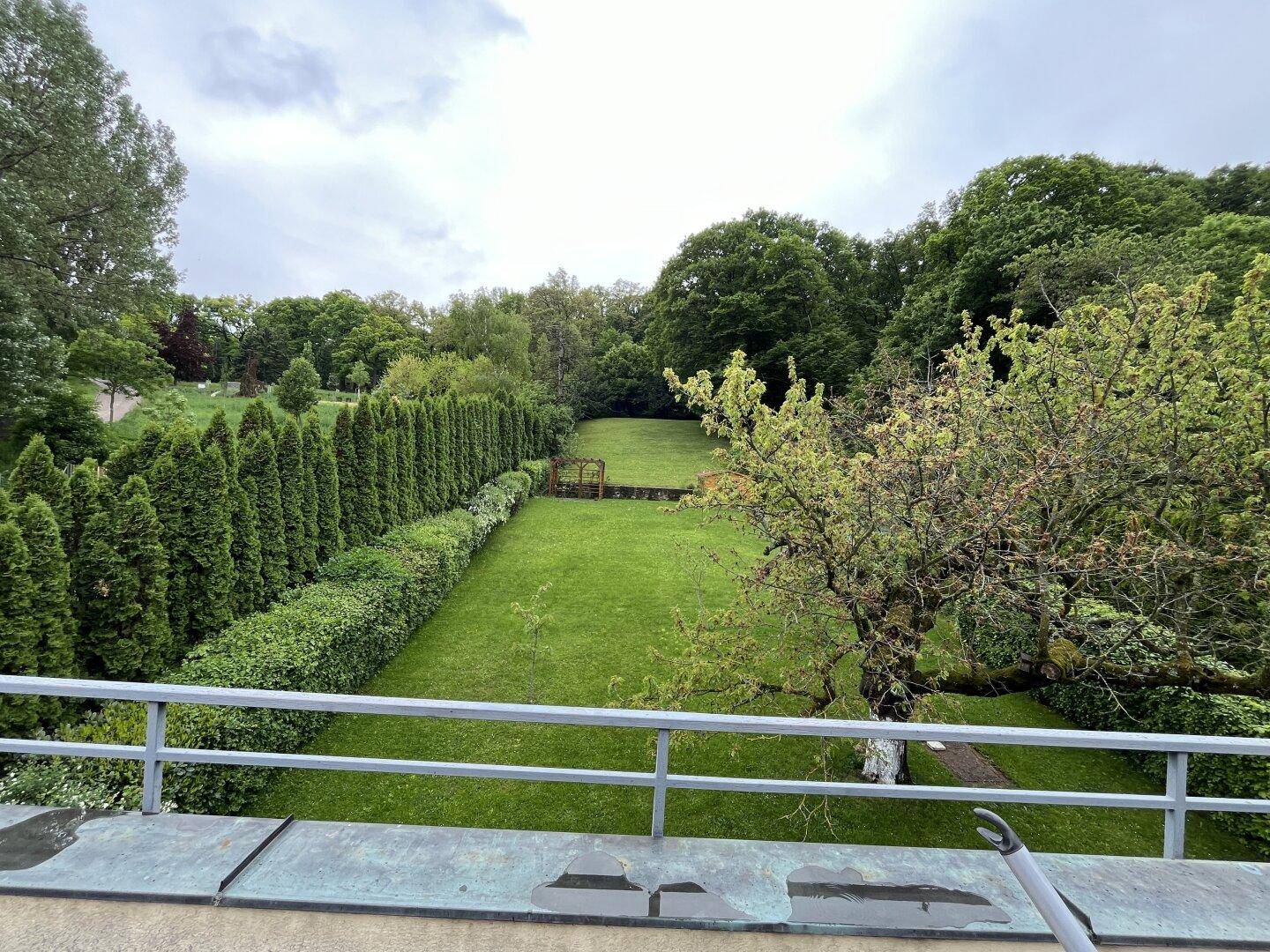 Weitläufiger Blick über den grünen Garten mit hohen Bäumen und Hecken unter bewölktem Himmel.