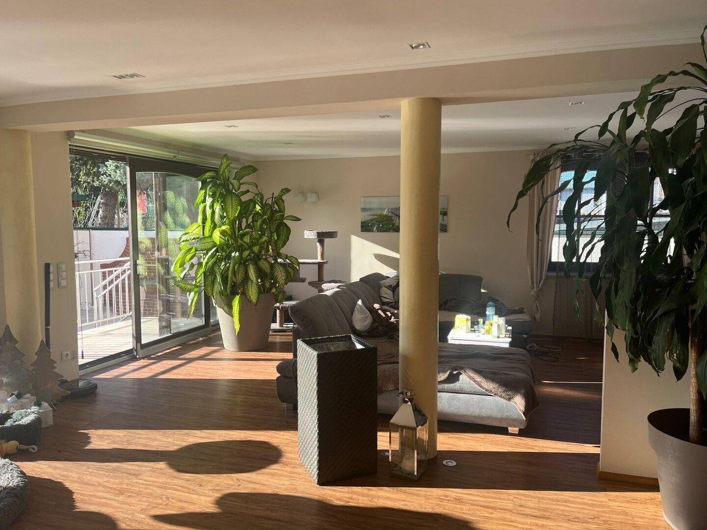 Helles Wohnzimmer mit Holzboden, großen Pflanzen und Zugang zur Terrasse.