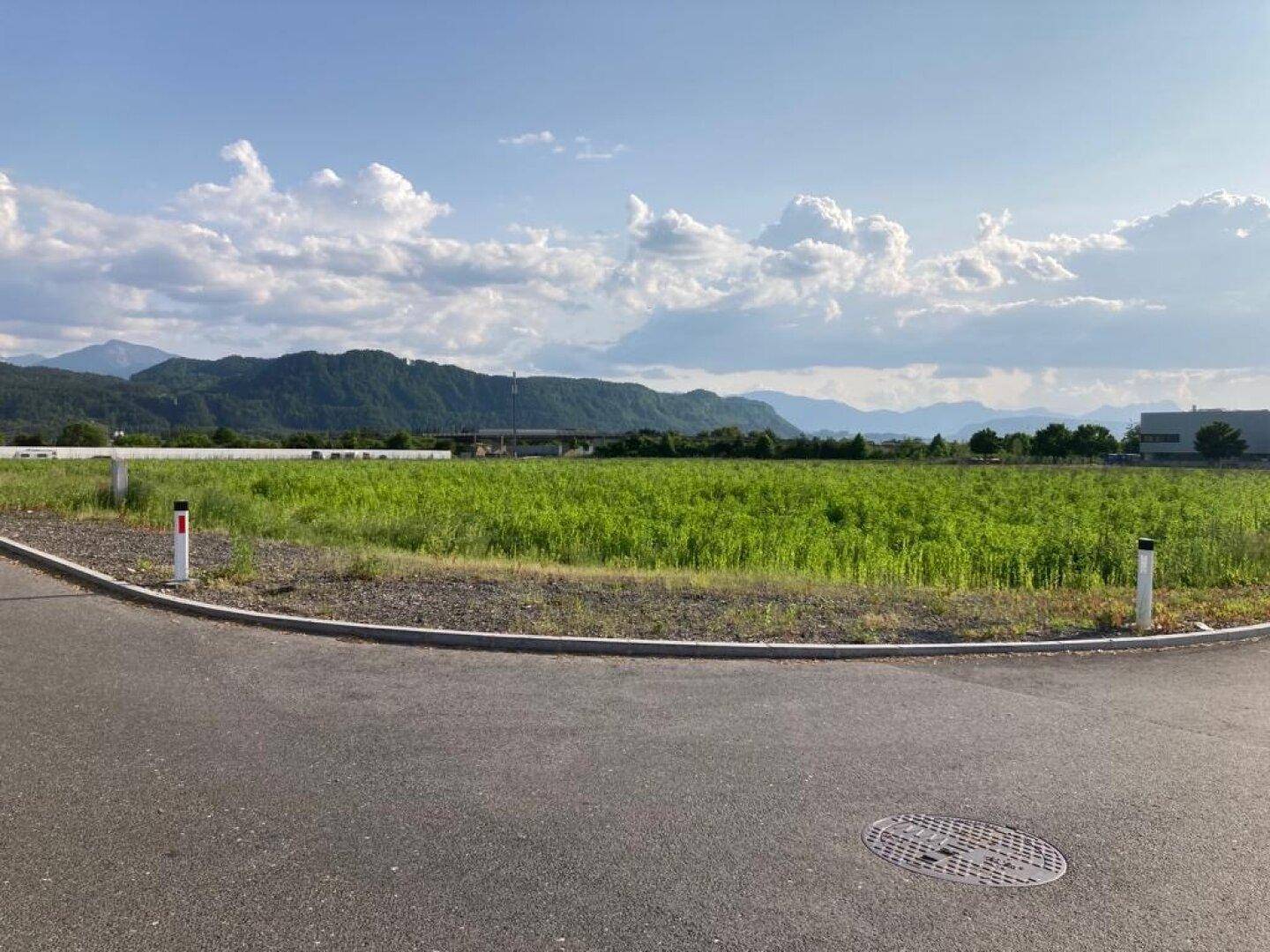 Ausblick auf ein großes grünes Feld mit Bergen und Industriegebäuden in der Ferne unter einem sonnigen Himmel.