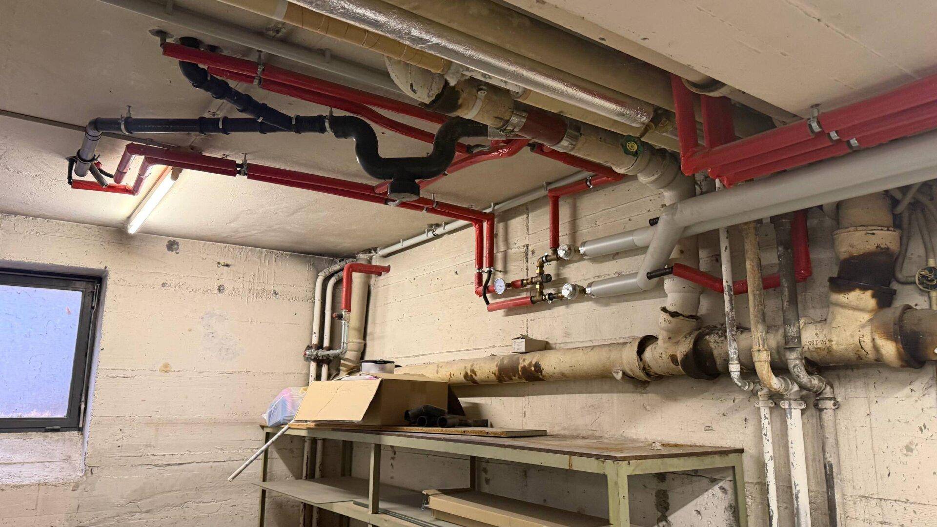 Kellerraum mit sichtbaren Rohren an der Decke und einem kleinen Fenster, wirkt funktional.