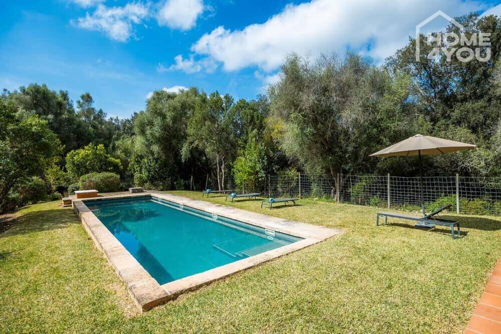 Rechteckiger Pool im weitläufigen Gartenbereich, umgeben von üppiger mediterraner Vegetation.
