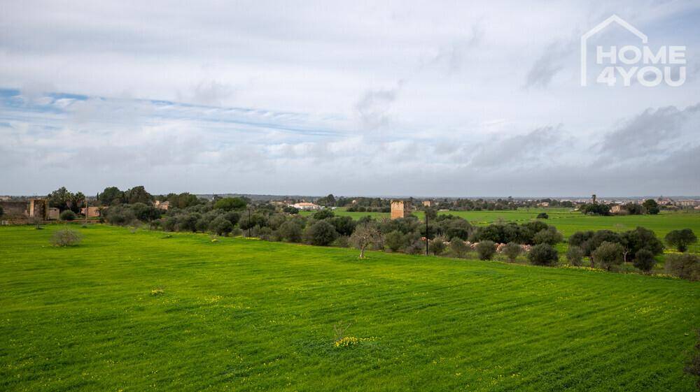 Panoramablick über die ländliche Landschaft mit grünen Feldern und Olivenbäumen unter bewölktem Himmel.