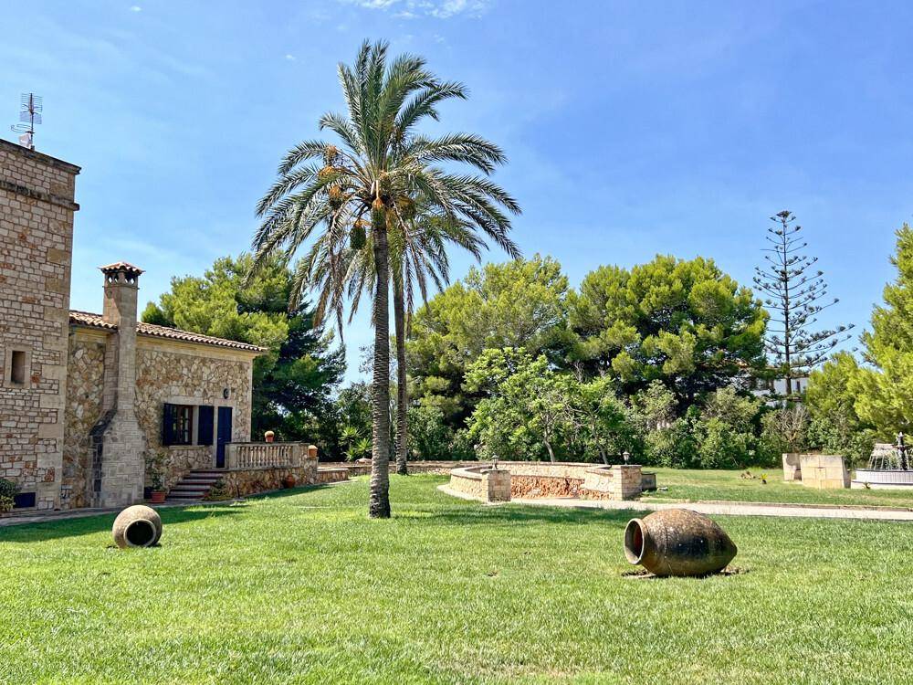 Weitläufiger Gartenbereich mit Palmen und mediterraner Vegetation, im Hintergrund das Anwesen.