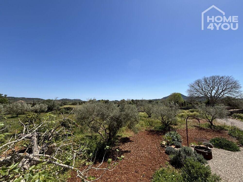 Panoramablick auf die ländliche Umgebung mit Olivenhainen und weitem Horizont.