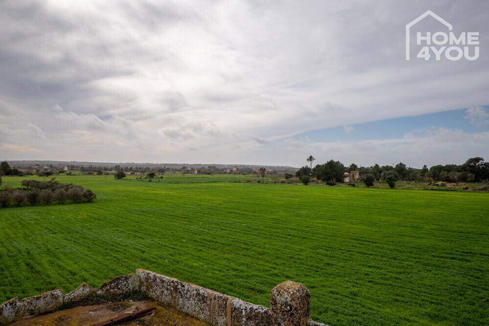 Panoramablick über weite grüne Felder und die ländliche Umgebung unter einem bewölkten Himmel.