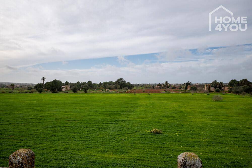 Weitläufige grüne Felder erstrecken sich bis zum Horizont unter einem bewölkten Himmel.