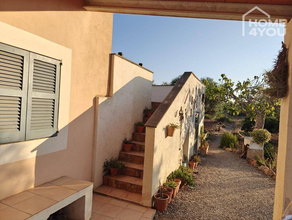 Außentreppe führt zur Dachterrasse, umgeben von mediterraner Vegetation.