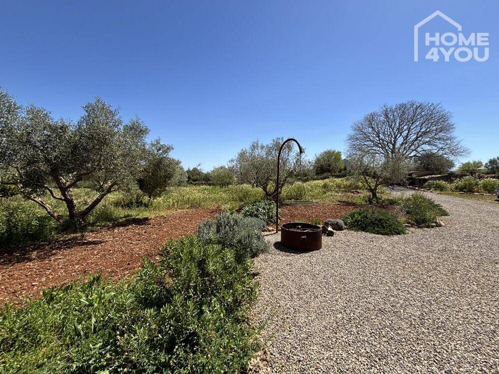 Ein weitläufiger Gartenbereich mit Kiesweg, Olivenbäumen und einer gemütlichen Feuerstelle im Freien.