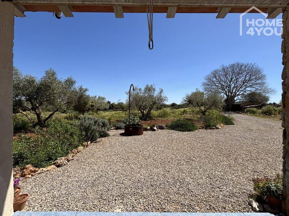 Blick von der überdachten Terrasse auf die Kiesauffahrt und den Gartenbereich.