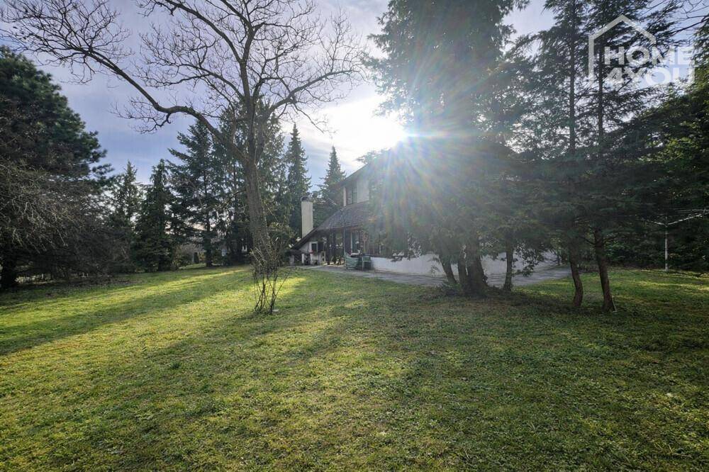 Weitläufiger Rasenbereich mit hohen Bäumen und dem Haus im Hintergrund bei Sonnenschein.