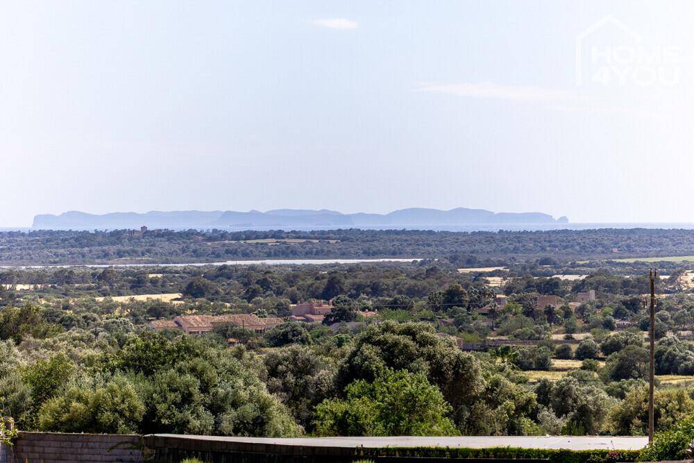 Weitläufiger Landschaftsblick mit grünen Bäumen und fernen Hügeln unter klarem Himmel.