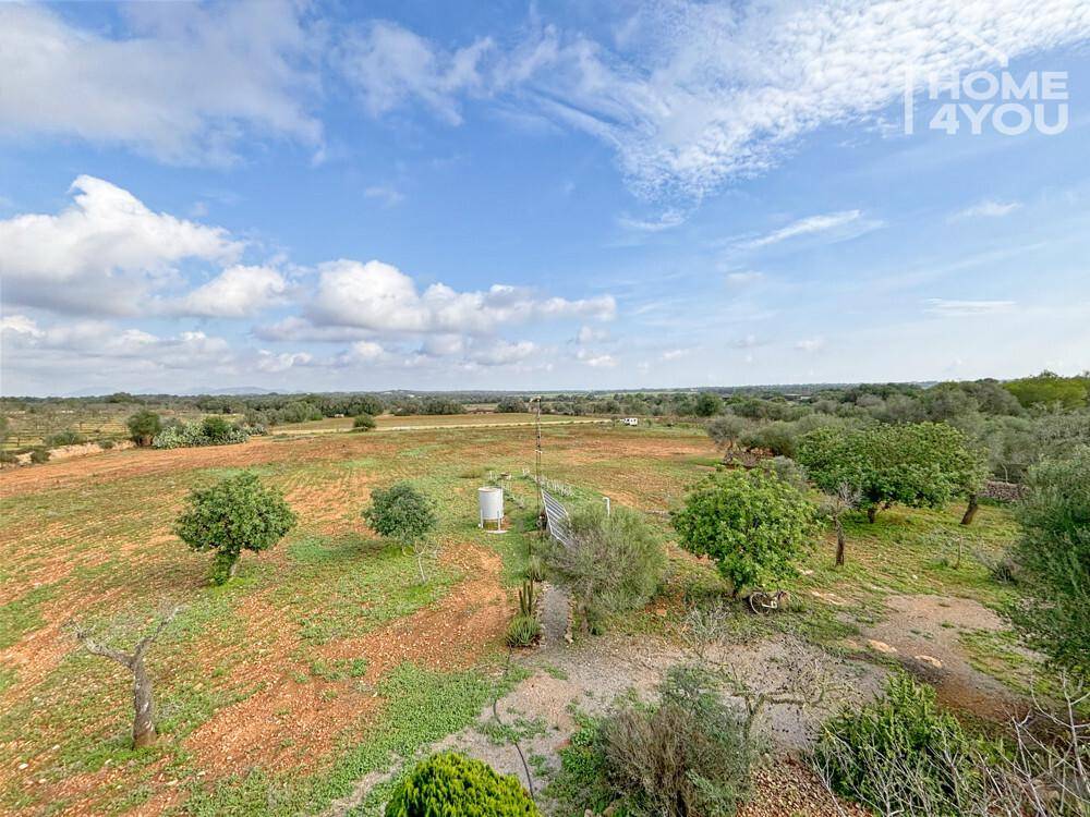 Weitläufige Landschaft mit Feldern, Bäumen und blauem Himmel, die eine ruhige Umgebung zeigt.