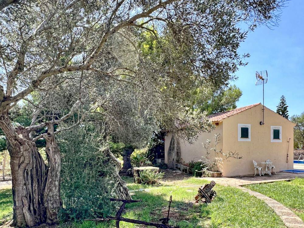 Rustikales Nebengebäude mit alter Olive und üppigem Grün im weitläufigen Gartenbereich.