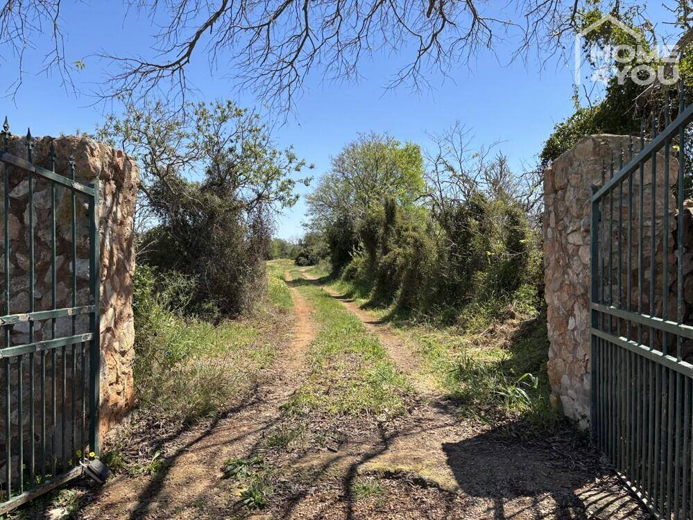Offenes Tor zu einem Feldweg, der in die ländliche Umgebung führt.