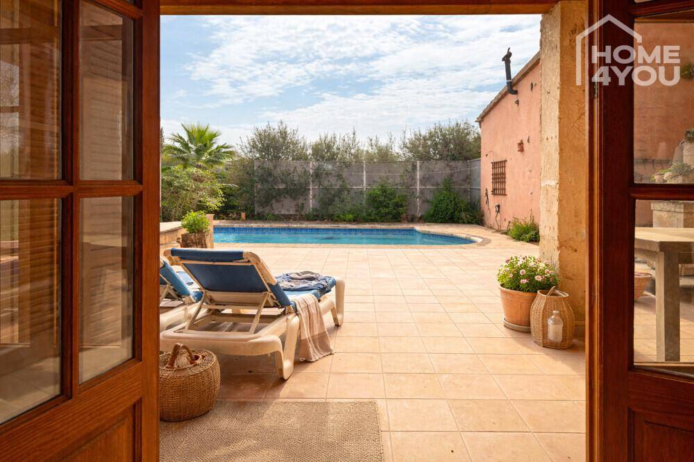 Blick vom Innenbereich auf die sonnige Poolterrasse mit Liegestühlen und mediterraner Bepflanzung.