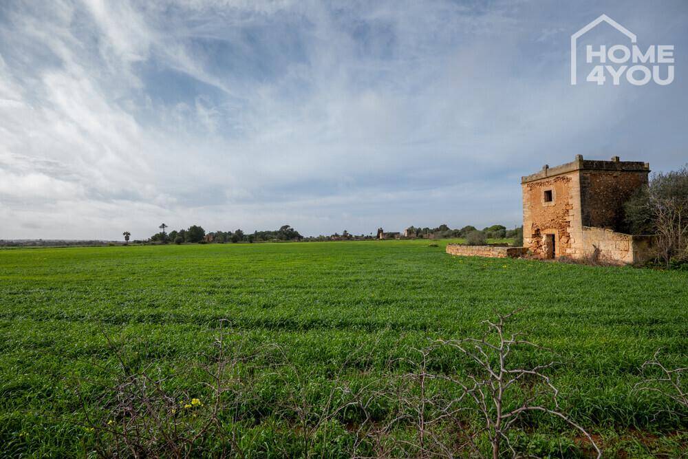 Alter Steinturm in einer weiten grünen Landschaft unter einem bewölkten Himmel, Teil eines Bauernhauses.