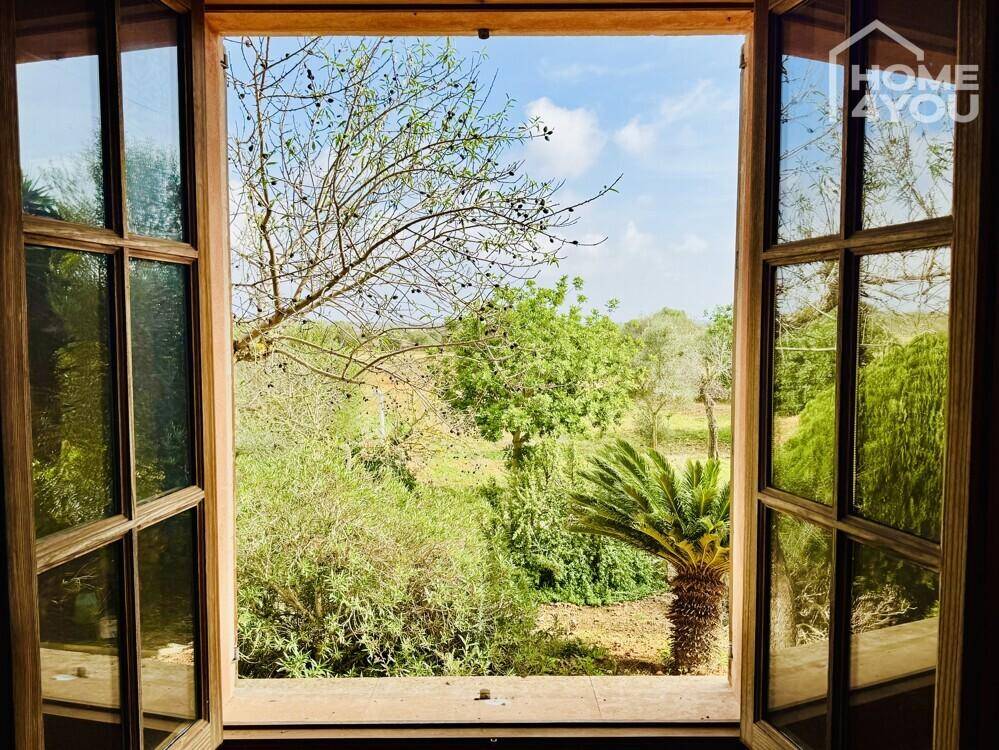Blick aus einem Holzfenster auf die grüne Landschaft mit Bäumen und Pflanzen.