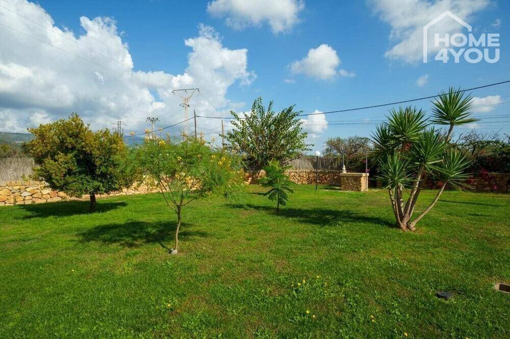 Großer, gepflegter Garten mit Rasenfläche und verschiedenen Bäumen unter blauem Himmel.