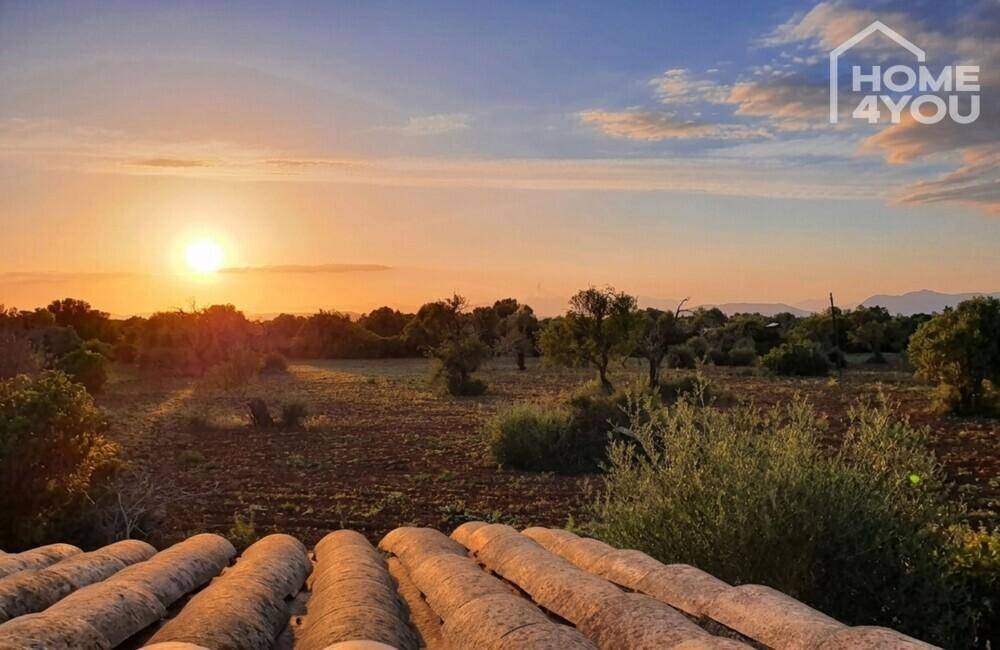 Sonnenuntergang über der malerischen Landschaft, gesehen über ein Ziegeldach.