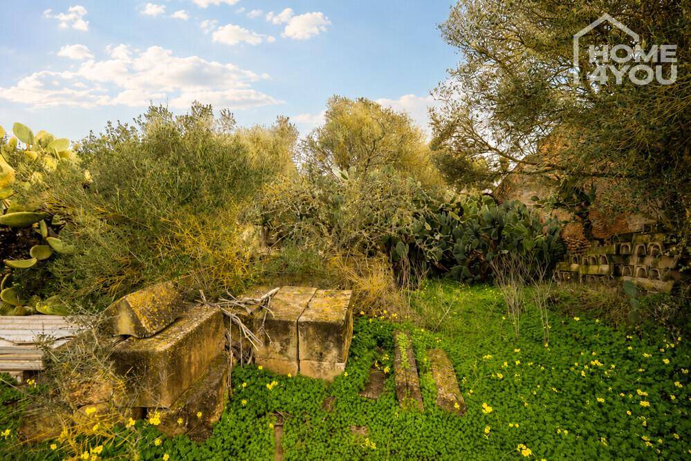 Verwilderter Gartenbereich mit Kakteen, Sträuchern und alten Steinblöcken unter hellem Himmel.
