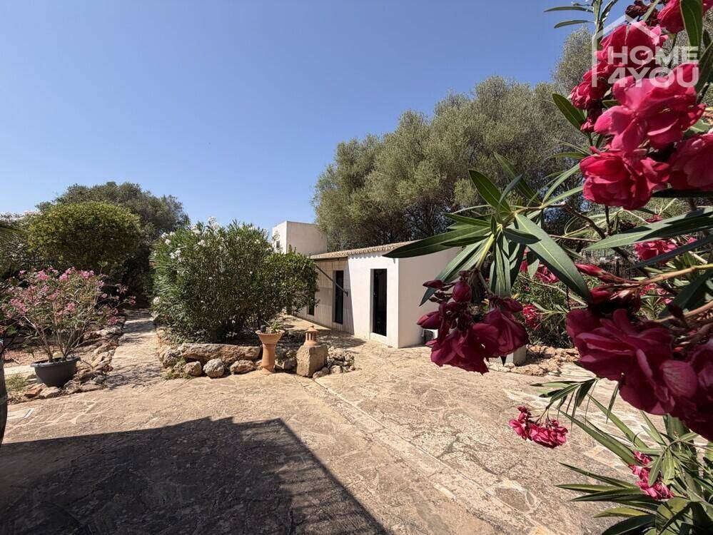 Mediterraner Gartenbereich mit blühenden Pflanzen und einem kleinen Nebengebäude.
